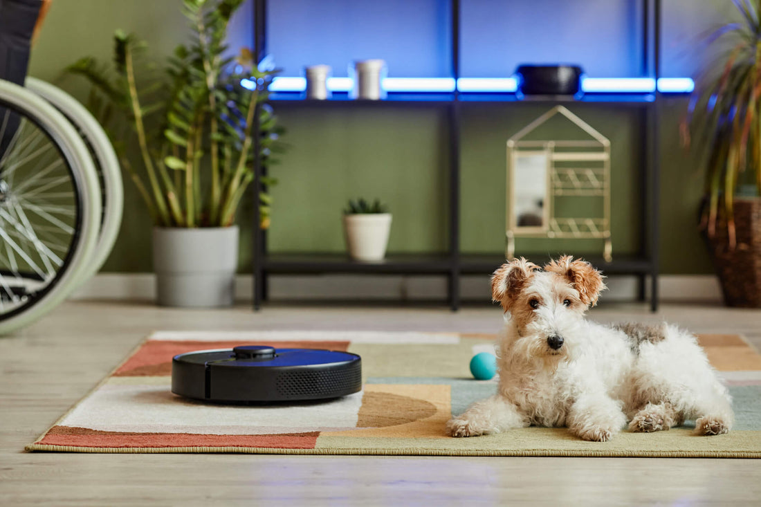 Best Robot Vacuums