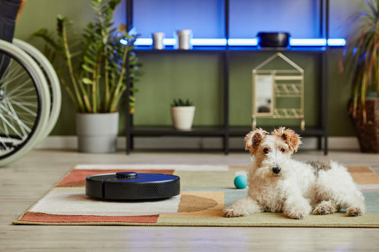 Best Robot Vacuums